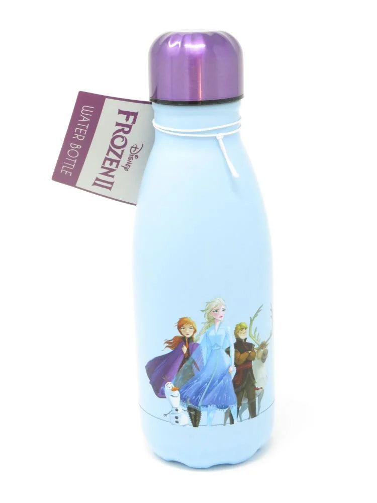 Frozen 2 Metal Reusable Water Bottle 260ml