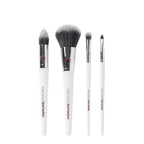Luxury brush set